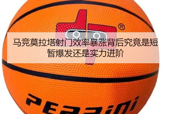 ma-jing-mo-la-ta-she-men-xiao-lv-bao-zhang-bei-hou-jiu-jing-shi-duan-zan-bao-fa-hai-shi-shi-li-jin-jie-2-977.jpg