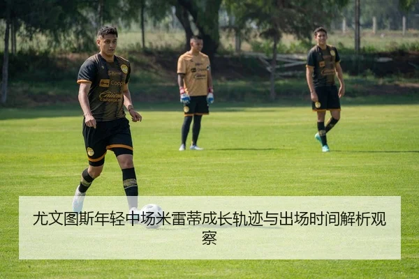 you-wen-tu-si-nian-qing-zhong-chang-mi-lei-di-cheng-zhang-gui-ji-yu-chu-chang-shi-jian-jie-xi-guan-cha-2-622.jpg